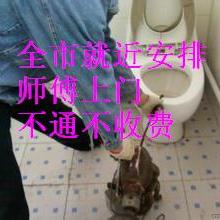 合肥瑤海區志邦家政服務部 專業家政服務，為您的家庭煥發溫馨與潔凈